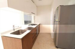 The Lakefront Residences (D22), Condominium #501768111